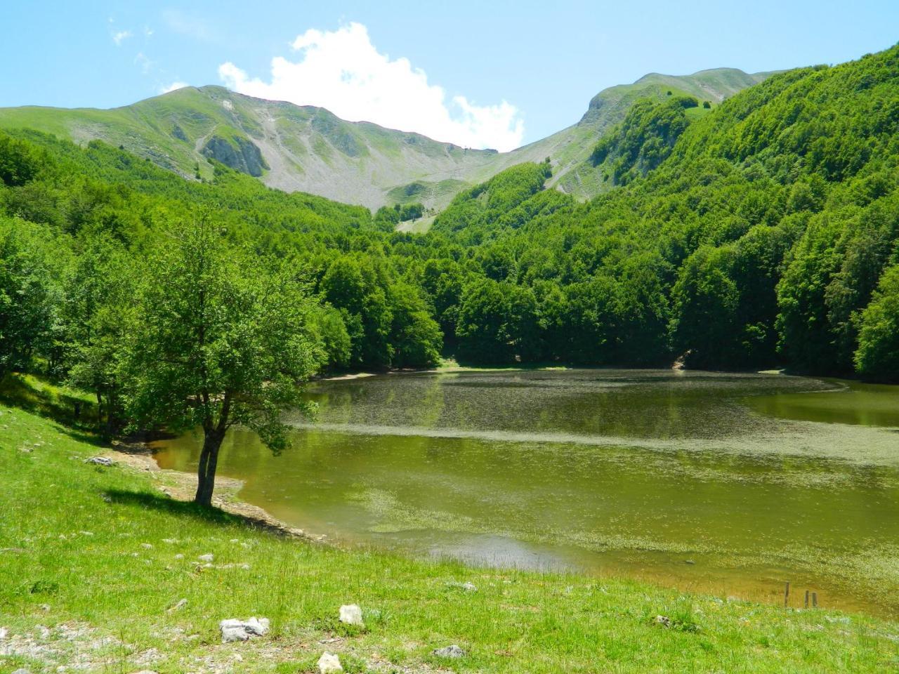 L'Antico Ritrovo Bed & Breakfast Moliterno Luaran gambar
